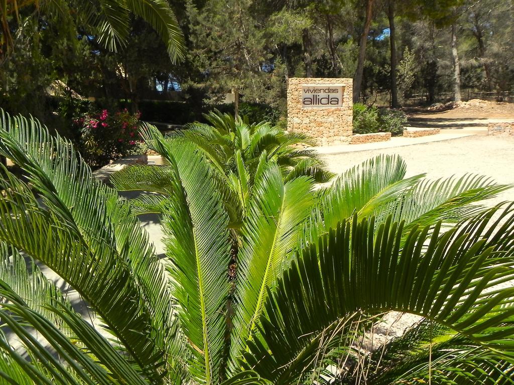 Viviendas Turisticas Vacacionales Allida Platja de Migjorn Eksteriør billede